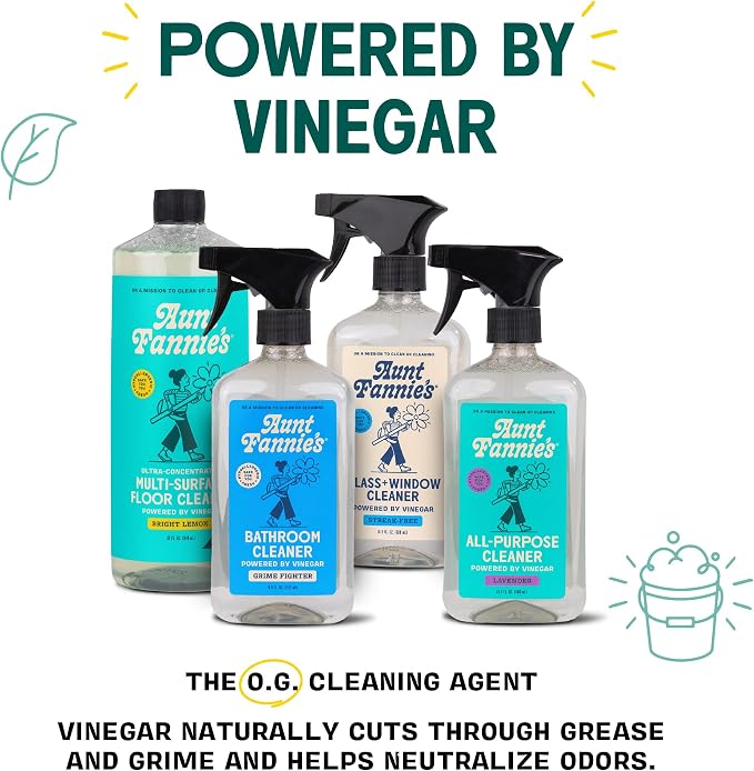 Aunt Fannie's Glass & Window Cleaning Wipes, Natural Streak-Free Glass Cleaner - Image 3