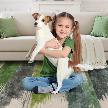 Ciicool Modern Abstract Area Rug 2x3 Washable Small Entryway Rugs, Green Non-Slip Low Pile Throw Entry Rug, Foldable Kitchen Bathroom Rugs Floor Carpet for Entrance Bedroom Indoor Doormat