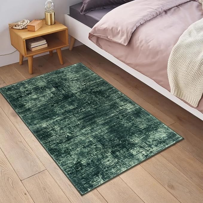 IOHOUZE Small Abstract Area Rug 2x3 Ft Entryway Rugs Washable Door Mat Indoor - Image 2