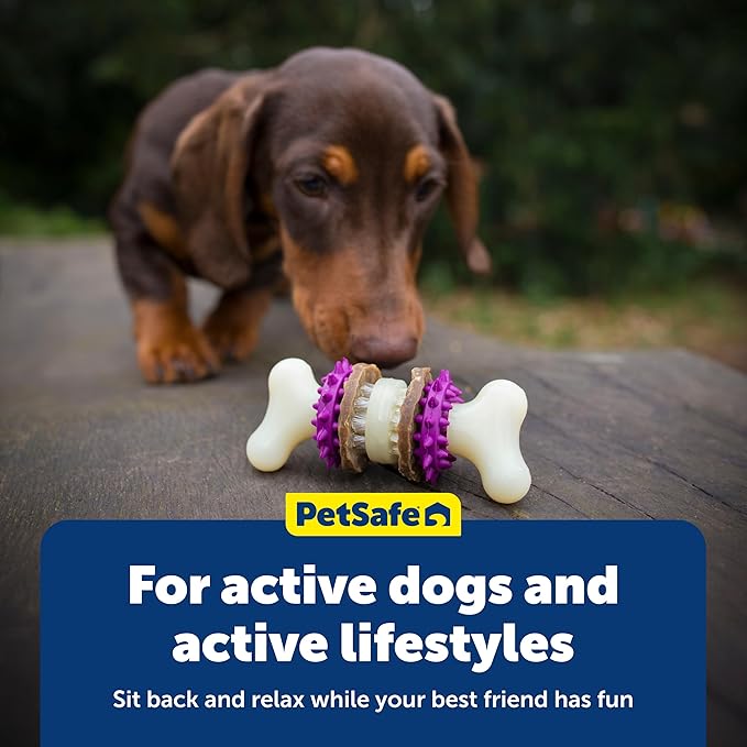 PetSafe Busy Buddy Bristle Bone - Image 6