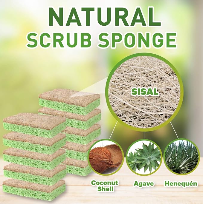 SCRUBIT Natural Sponges - Image 2