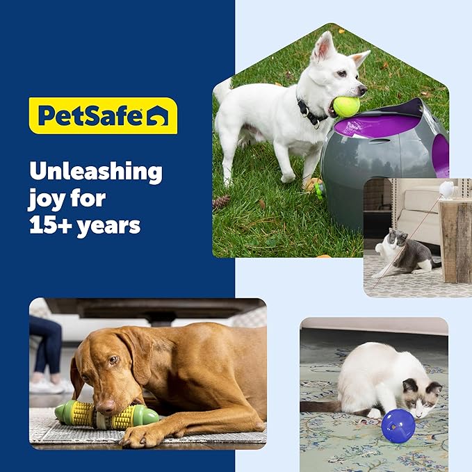 PetSafe Busy Buddy Jack - Image 7