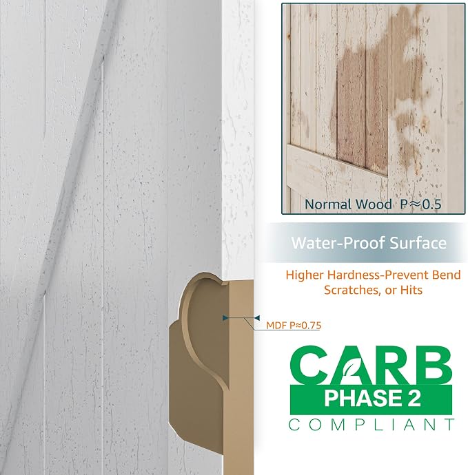 48''x84'' Sliding Barn Door - Image 3