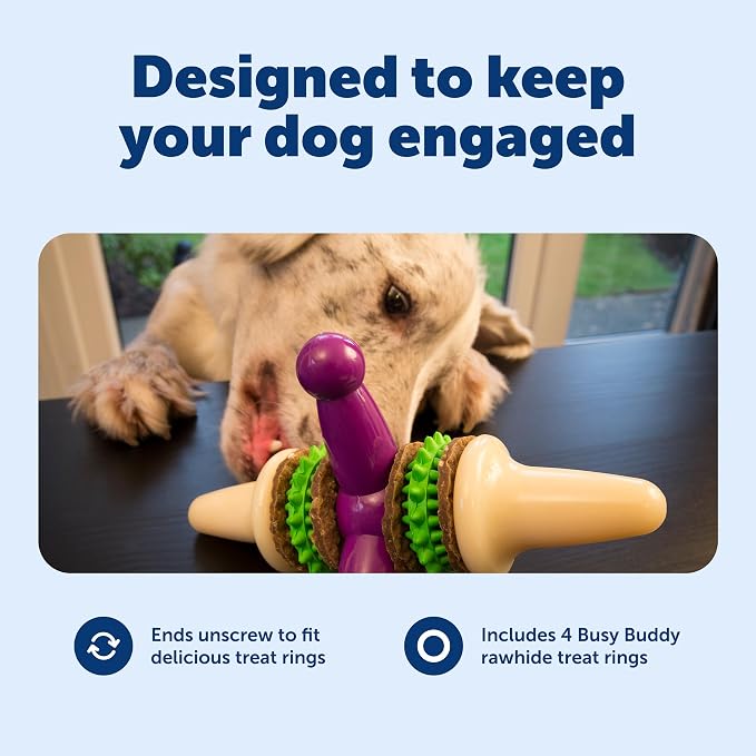 PetSafe Busy Buddy Jack - Image 3