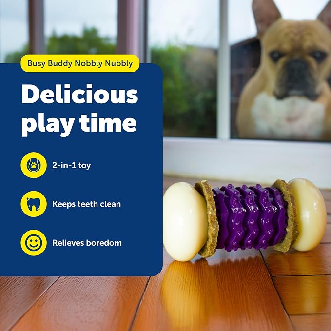 PetSafe Busy Buddy Nobbly Nubbly Treat Holding Dog Toy – Strong Chewers – - Image 2
