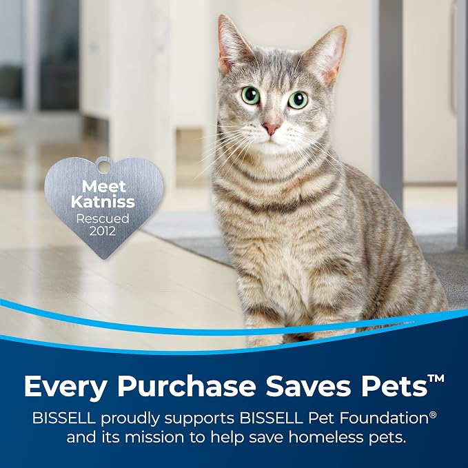 BISSELL Spotlifter Pet Carpet and Upholstery Cleaner - Image 3