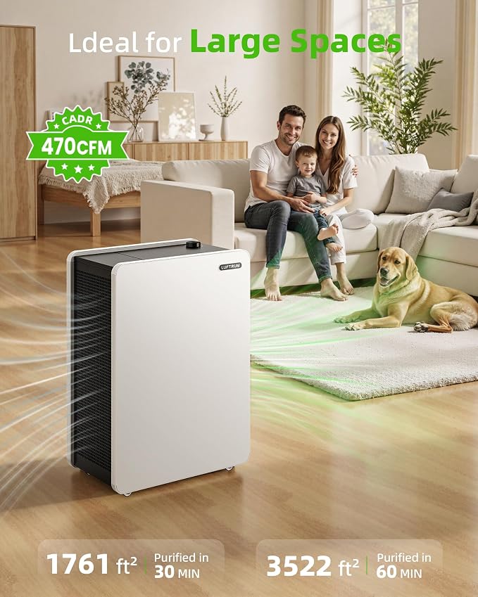 Air Purifier for Large Room: True HEPA Air Filter for Allergies Pets Asthma - Image 2