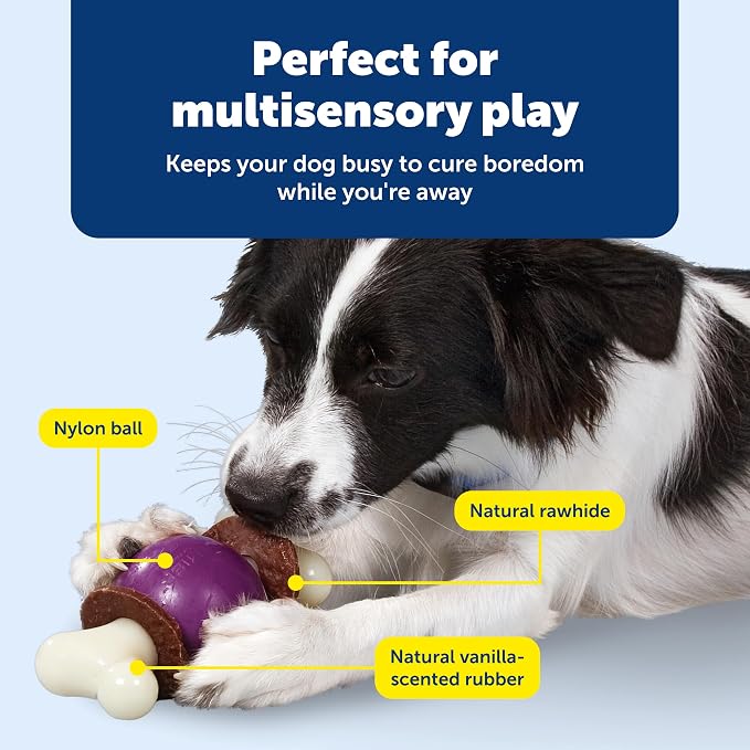 PetSafe Busy Buddy Bouncy Bone - Image 4