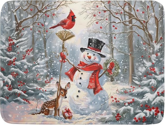 Winter Snowman Dish Drying Mat for Kitchen Counter Red Bird Berry Dishes by Giwawa