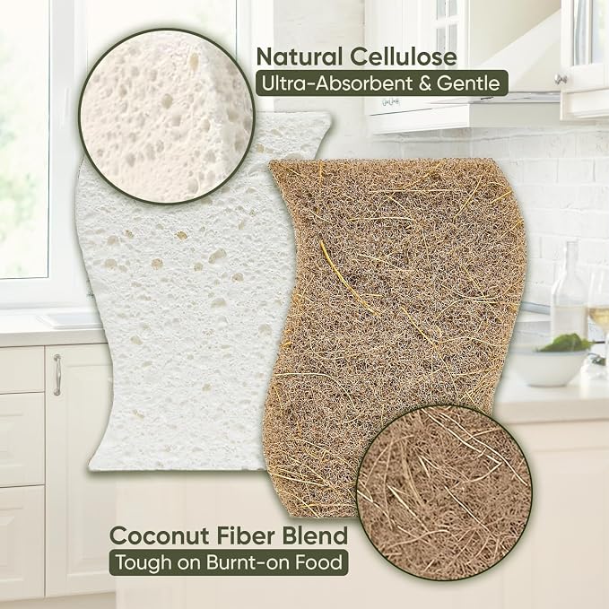 Plant-Based Kitchen Sponges | FSC-Certified & PETA Approved | Natural Cellulose - Image 3