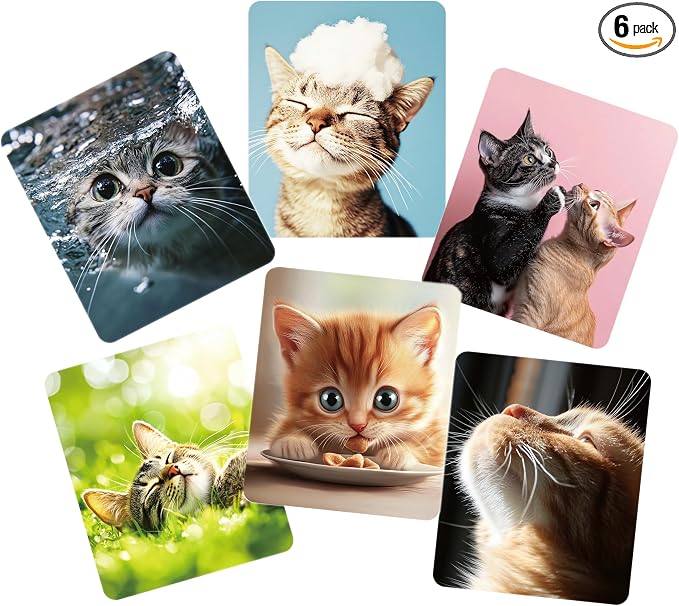 Anywind Microfiber Glasses Cleaner Cloth, Cute Cat Cleaning Clothes by Unknown