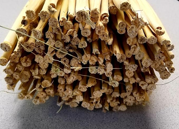 Craft Broom Corn with Stalks 2 Pound Bundle 24-36" Length - Image 3