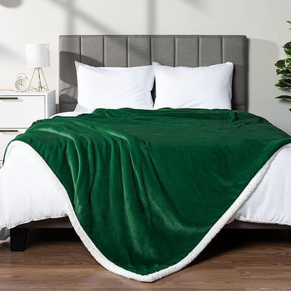 PAVILIA Sherpa Fleece Throw Blanket for Couch, Emerald Green, Plush Soft Fuzzy Sofa Blanket, Cozy Reversible Winter Throw for Women Men, 50x60 Inches