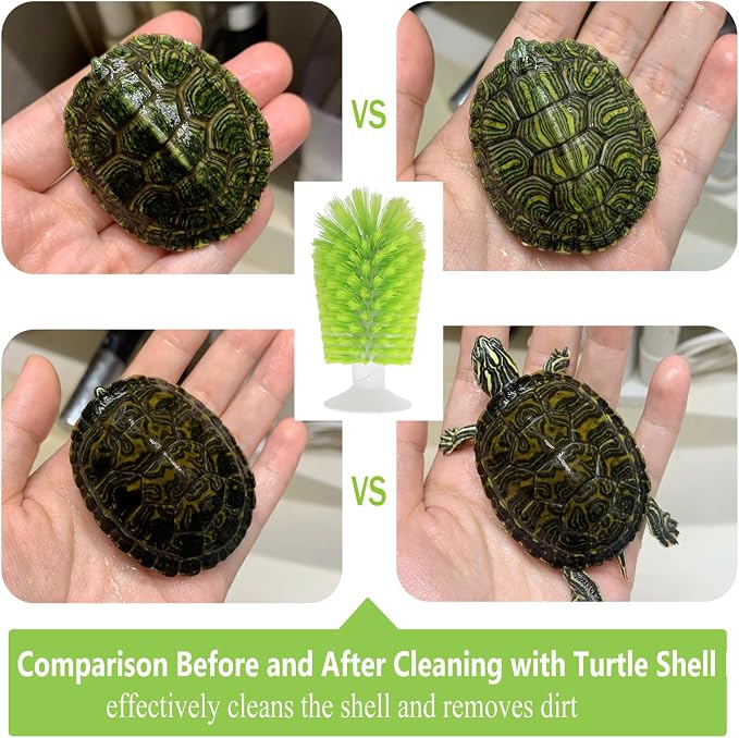 Turtle Scrub Brush, Turtle Scratches Back Brush Turtle Shell Clean Brush - Image 4