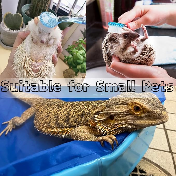 Bearded Dragons Foldable Bathtub - Image 6