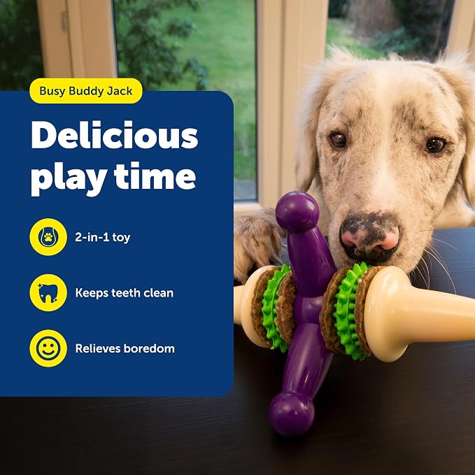 PetSafe Busy Buddy Jack - Image 2