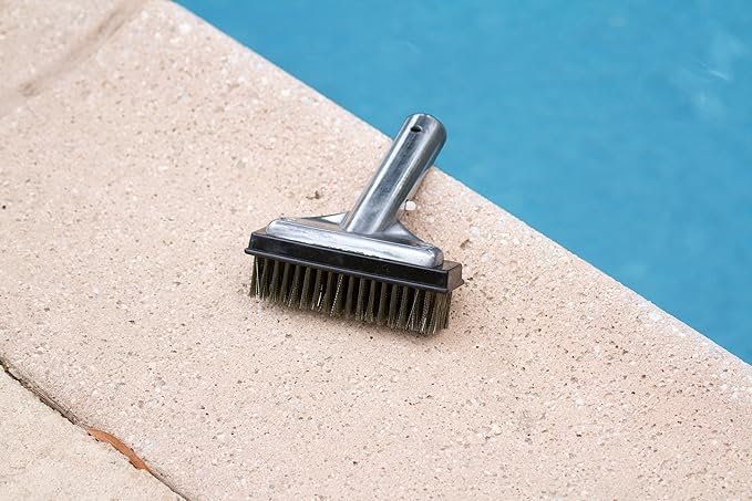Poolmaster 20178 5-Inch Aluminum-Back Swimming Pool Algae Brush - Image 2