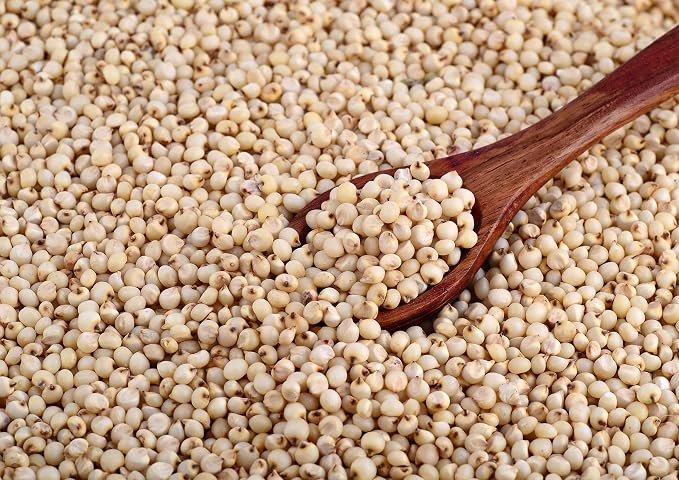 Food to Live Gluten Free Organic Whole Grain Sorghum, 1.5 Pounds - Image 5