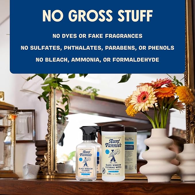 Aunt Fannie's Glass & Window Cleaning Bundle, Vinegar Spray and Wipes, Natural - Image 7