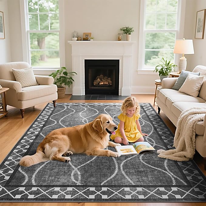 4x6 Area Rugs for Living Room Bedroom, Machine Washable Low Pile Rugs, Non Slip Modern Bordered Print Indoor Carpet for Entryway Office Dining Room Dorm Home Decor, Dark Grey
