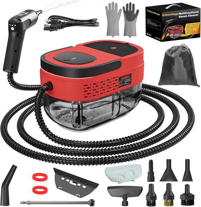 Handheld Steam Cleaner for Home, 2500W High Temperature Pressurized Machine by Gribouillage