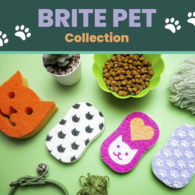 Scotch-Brite Doggone Tidy Non-Scratch Scrub Sponge, Two- sided, Limited Edition - Image 9