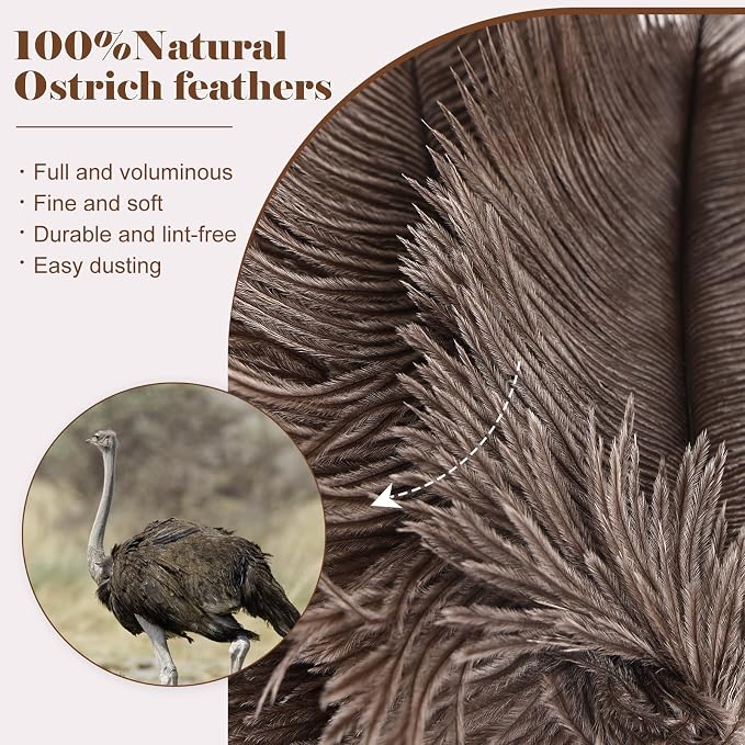 Natural Ostrich Feather Duster 14.9 inch Fluffy Mini Dusters - Image 4