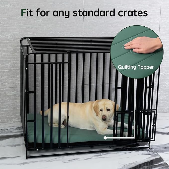 BALANCE Dog Crate Bed, Orthopedic Dog Bed Pad with Waterproof Liner, Washable Crate Foam Pet Mat for Large, Medium, Puppy Dogs Breeds, Mint Leaf, 48"x30"x2"