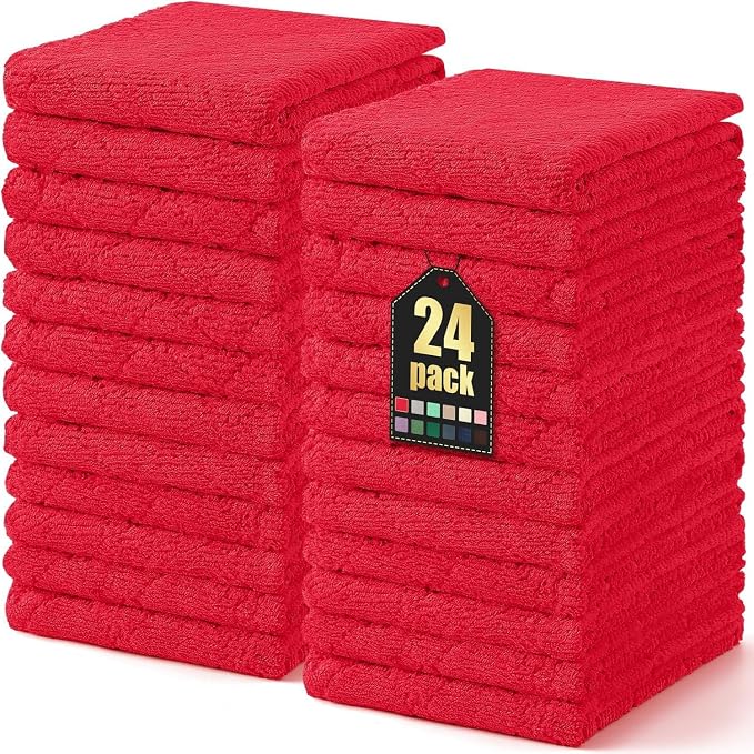 Homaxy 24 Pack Dish Towels for Kitchen, Super Soft and Absorbent Coral Velvet by Homaxy