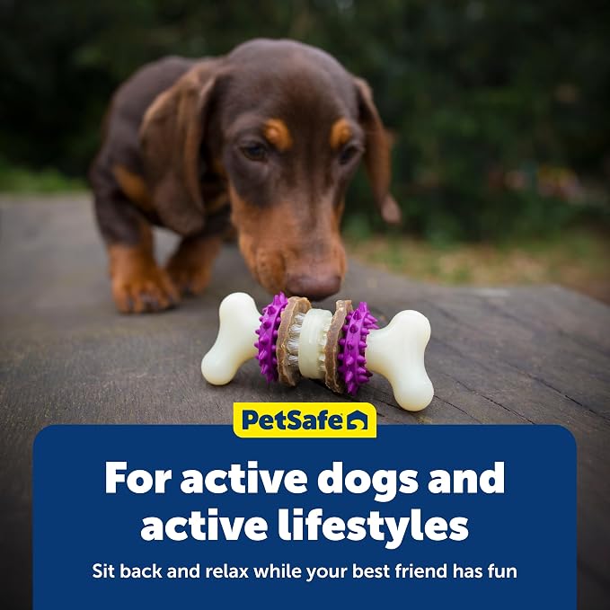 PetSafe Busy Buddy Bristle Bone - Image 6