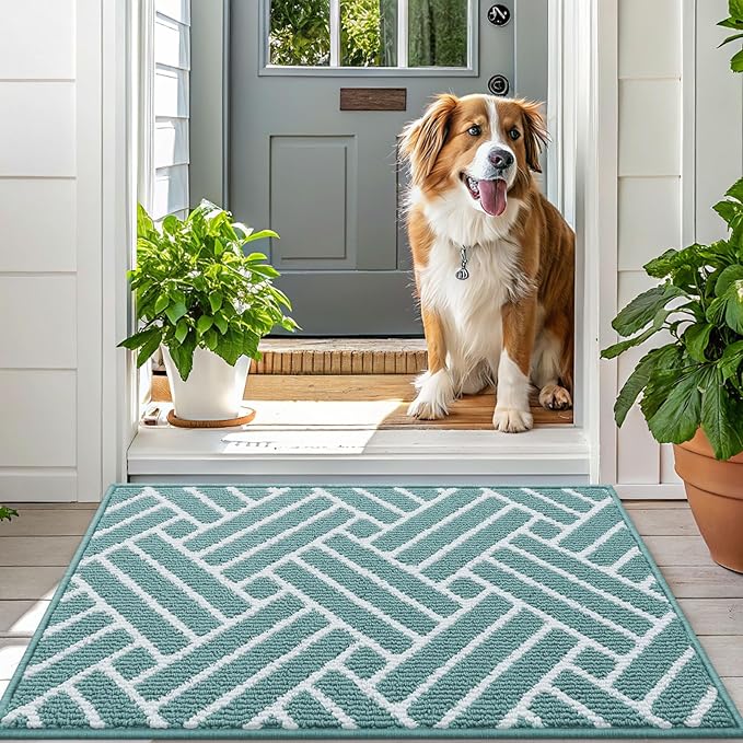 OLANLY Indoor Door Mat, 48x32 Inch, Dirt Resistant and Absorbent, Non-Slip - Image 6