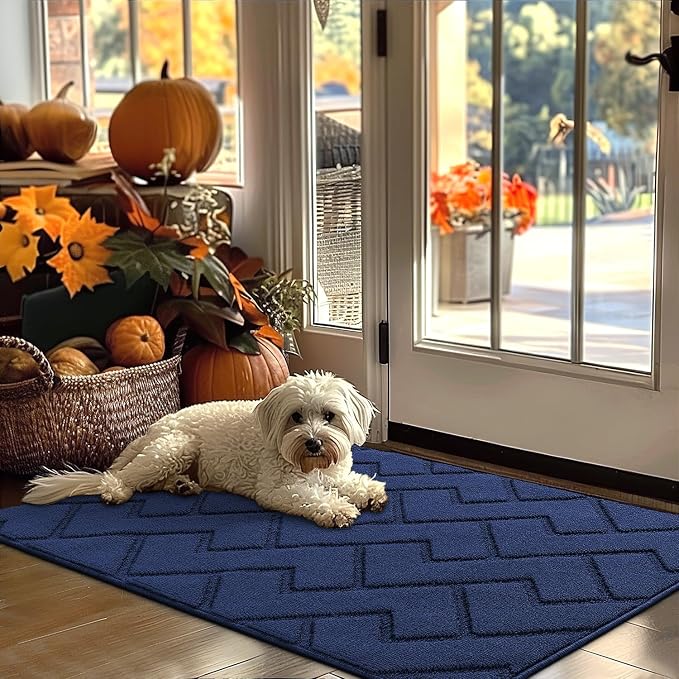 hicorfe Indoor Door Mat, Non Slip Door Mats, Absorbent Resist Dirt Entrance by Hicorfe