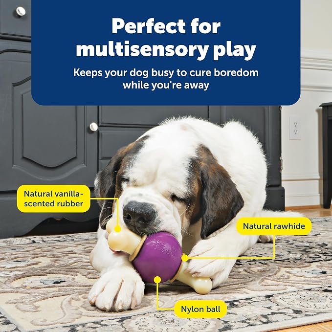 PetSafe Busy Buddy Bouncy Bone - Image 4