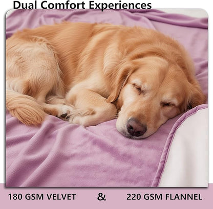 Waterproof Blanket for Couch, Leak Proof Dog Bed Blankets Reversible, Pet Throw Sofa Furniture Protector Machine Washable-52 x82,Purple+Cream