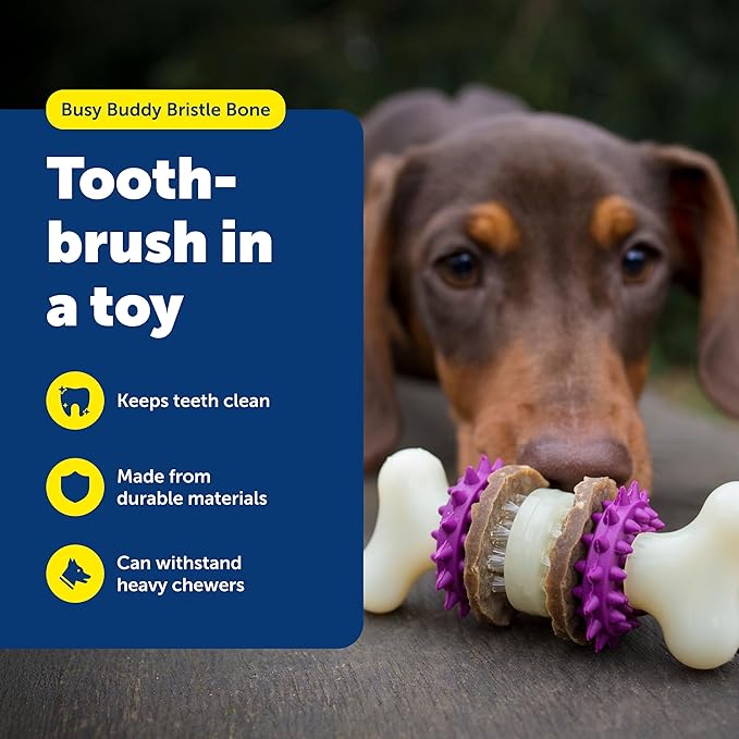 PetSafe Busy Buddy Bristle Bone - Image 2