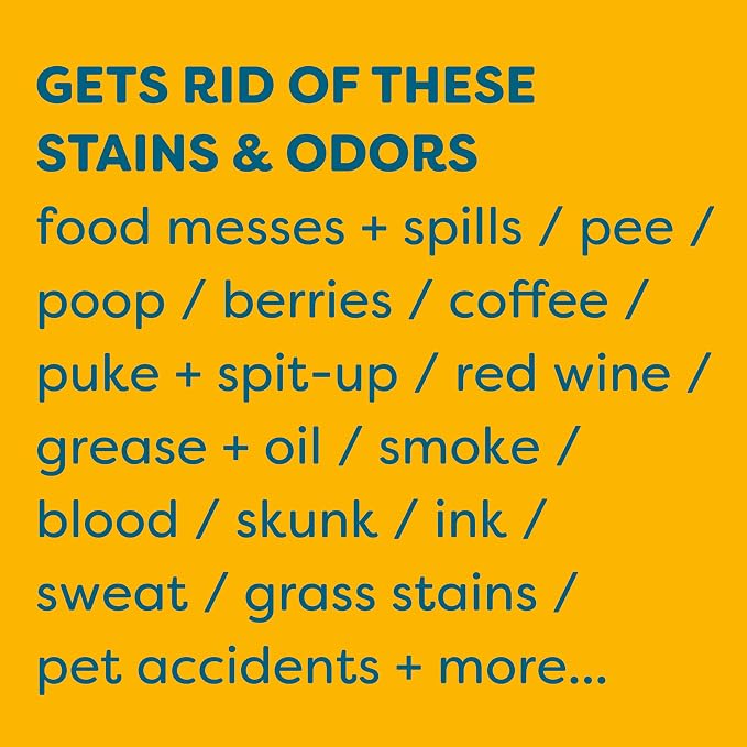 KIDS 'N' PETS Instant All-Purpose Stain & Odor Remover Permanently Eliminates - Image 4
