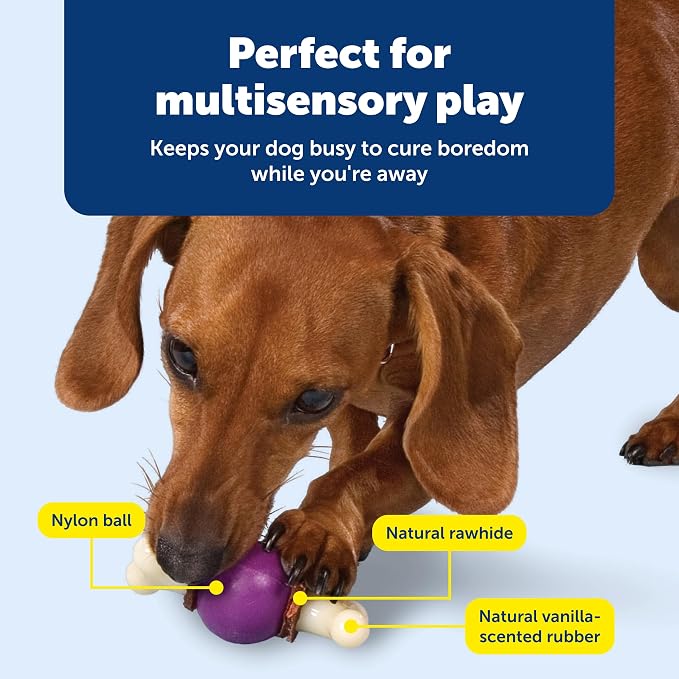 PetSafe Busy Buddy Bouncy Bone - Image 4