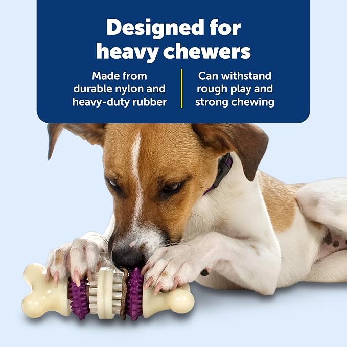 PetSafe Busy Buddy Bristle Bone Dog Chew Toy - Image 4
