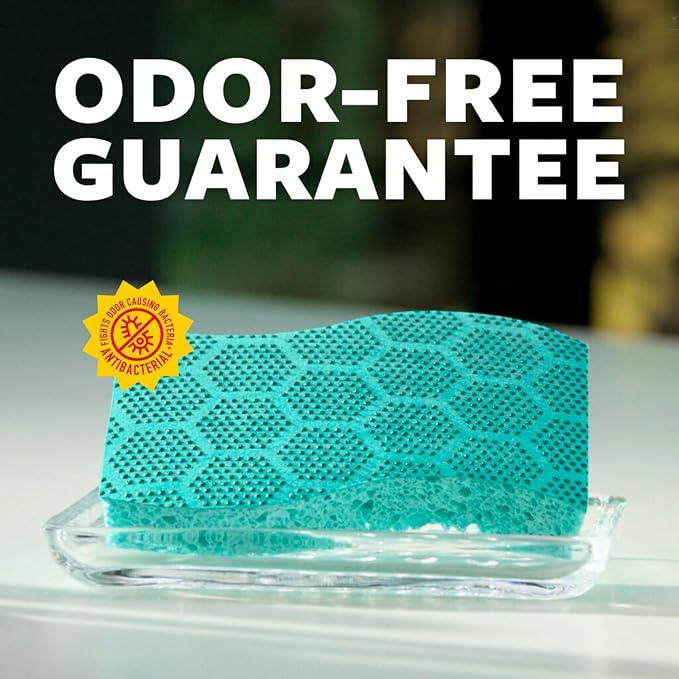 Scotch-Brite Odor Resist Heavy Duty Scrub Sponge, Dishwasher-Safe Kitchen - Image 6