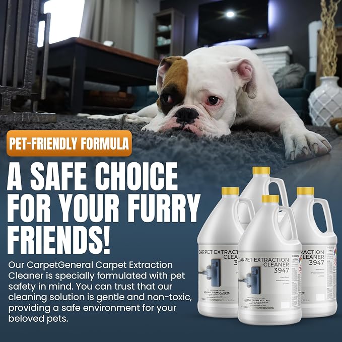 Carpet Extraction Cleaner - Image 5