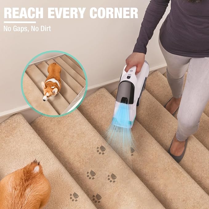HAUSHOF Handheld Carpet Cleaner, 12V Cordless Portable Carpet Cleaner, 6.5KPa - Image 6