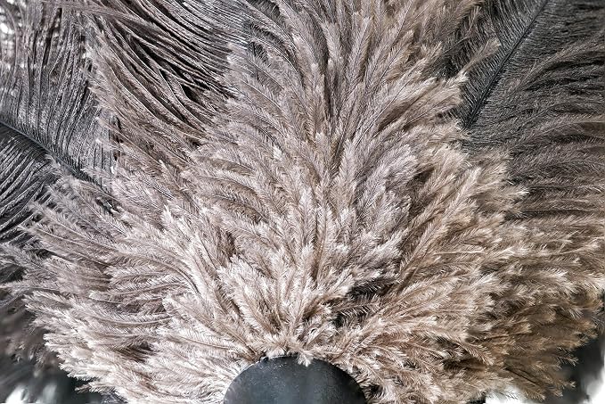 Royal Duster®, Premium Genuine Ostrich Feather Duster 14 inch - Image 4