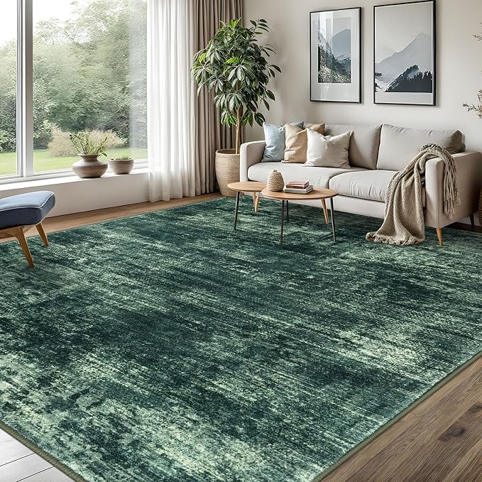 IOHOUZE Abstract Area Rugs 8x10 Ft Washable Large Rugs by iOhouze