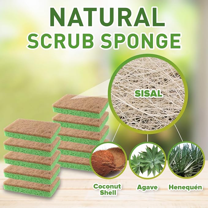SCRUBIT 24 Pack Natural Sponges - Image 2