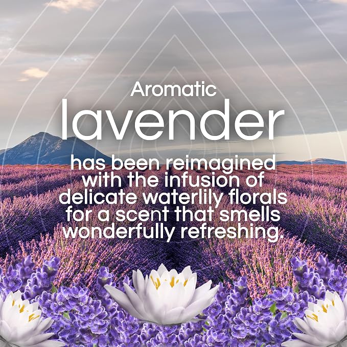 Air Wick Scented Oils 0+5 Lavender & Waterlily - Image 3