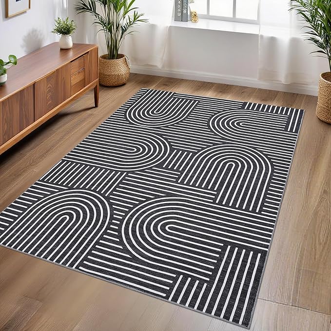 Morden Area Rug by ROYHOME