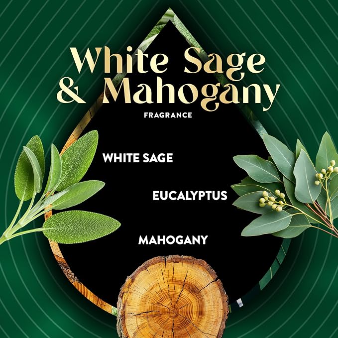 Air Wick Scented Oils 0+5 White Sage & Mahogany - Image 4