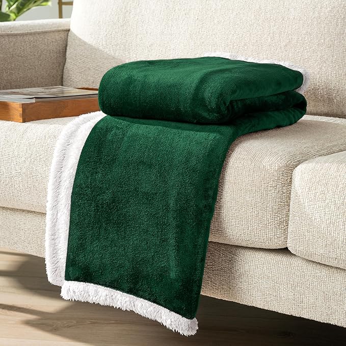 PAVILIA Sherpa Fleece Throw Blanket for Couch, Emerald Green, Plush Soft Fuzzy Sofa Blanket, Cozy Reversible Winter Throw for Women Men, 50x60 Inches