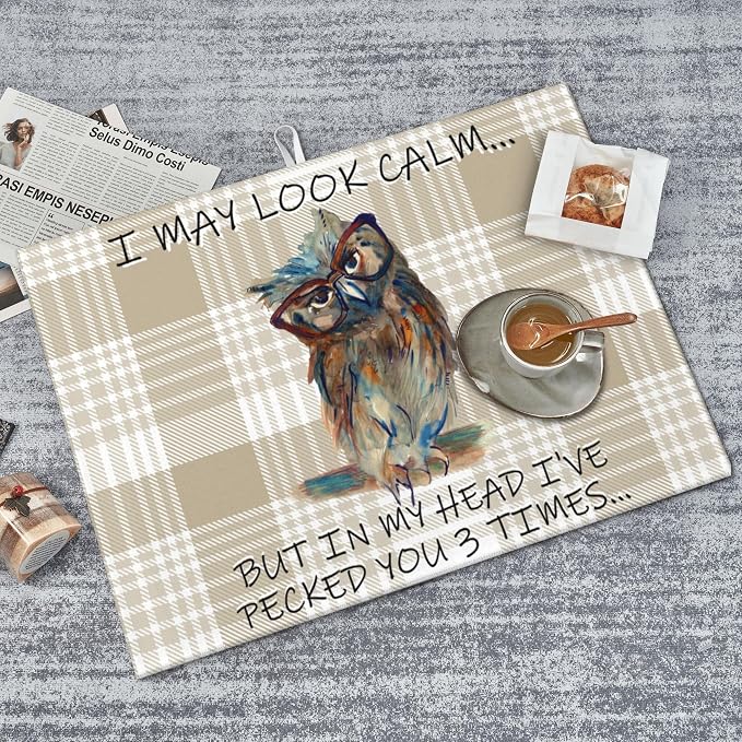 Kitchen Drying Mat Funny Owl Dish Drainer Mat - Image 3