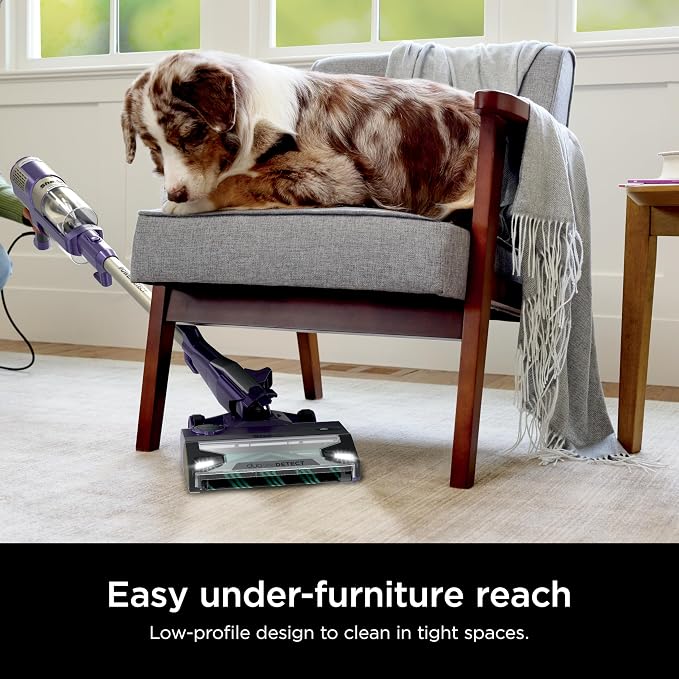 Shark POWERDETECT Ultra-Light Corded Stick Vacuum - Image 3